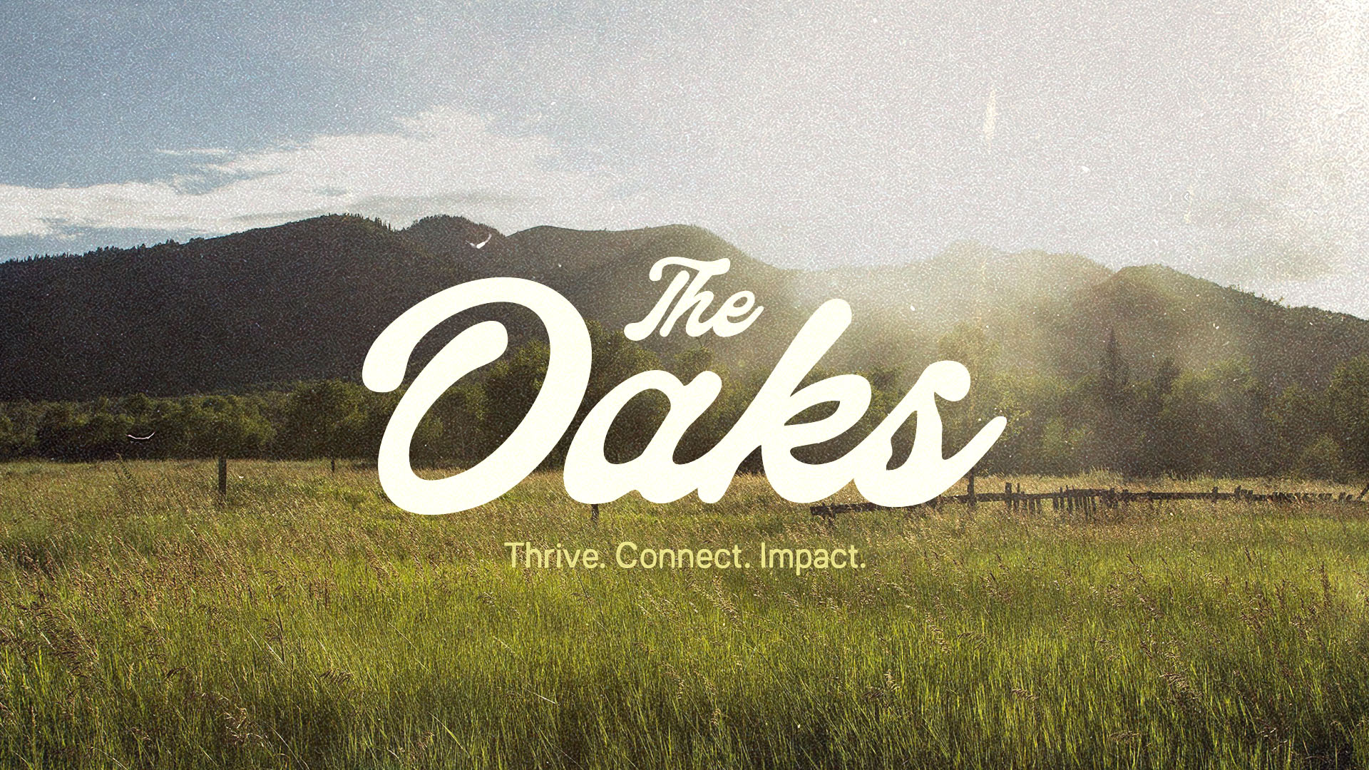 Oaks Image HeroArtboard 2